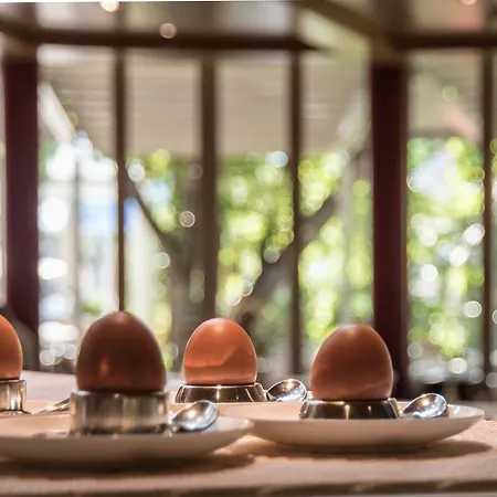 Savoy Отель Градо